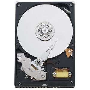  NEW 500GB PATA 7200 RPM 16MB (Hard Drives & SSD) Office 