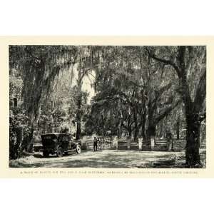  1926 Print Magnolia on the Ashley Entry South Carolina 
