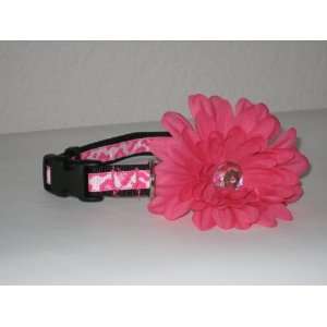   Flower Dog and Cat Collar 1/2 Wide, Adjustable 8 12
