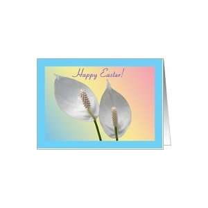 Flowers HappyEaster Beautiful White Peace Lilies on Colourful Pastel 