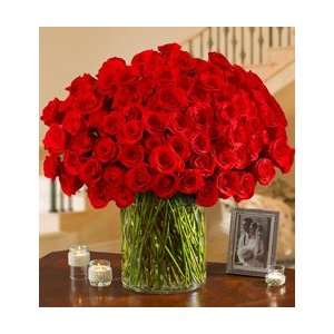   Red Roses in a Vase   100 Red Roses in a Vase  Grocery