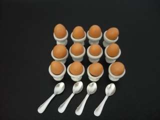 36 Egg in Egg Cup and Spoon Dollhouse Miniatures  