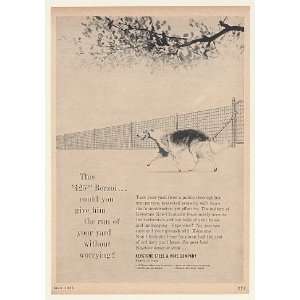  1961 $425 Borzoi Dog Keystone Steel Fence Print Ad 