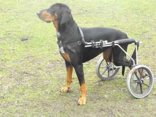 Wheels for Dogs, Dog Wheelchair made in the UK  