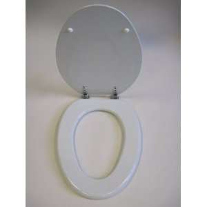 Toilet Seat Elongated 18.5 Granite, Deluxe Acrylic Resin with Chrome 