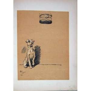 Terrier Pet Bird Cage 1905 Dog Day Cecil Aldin Print 